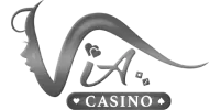 Visa partner logo